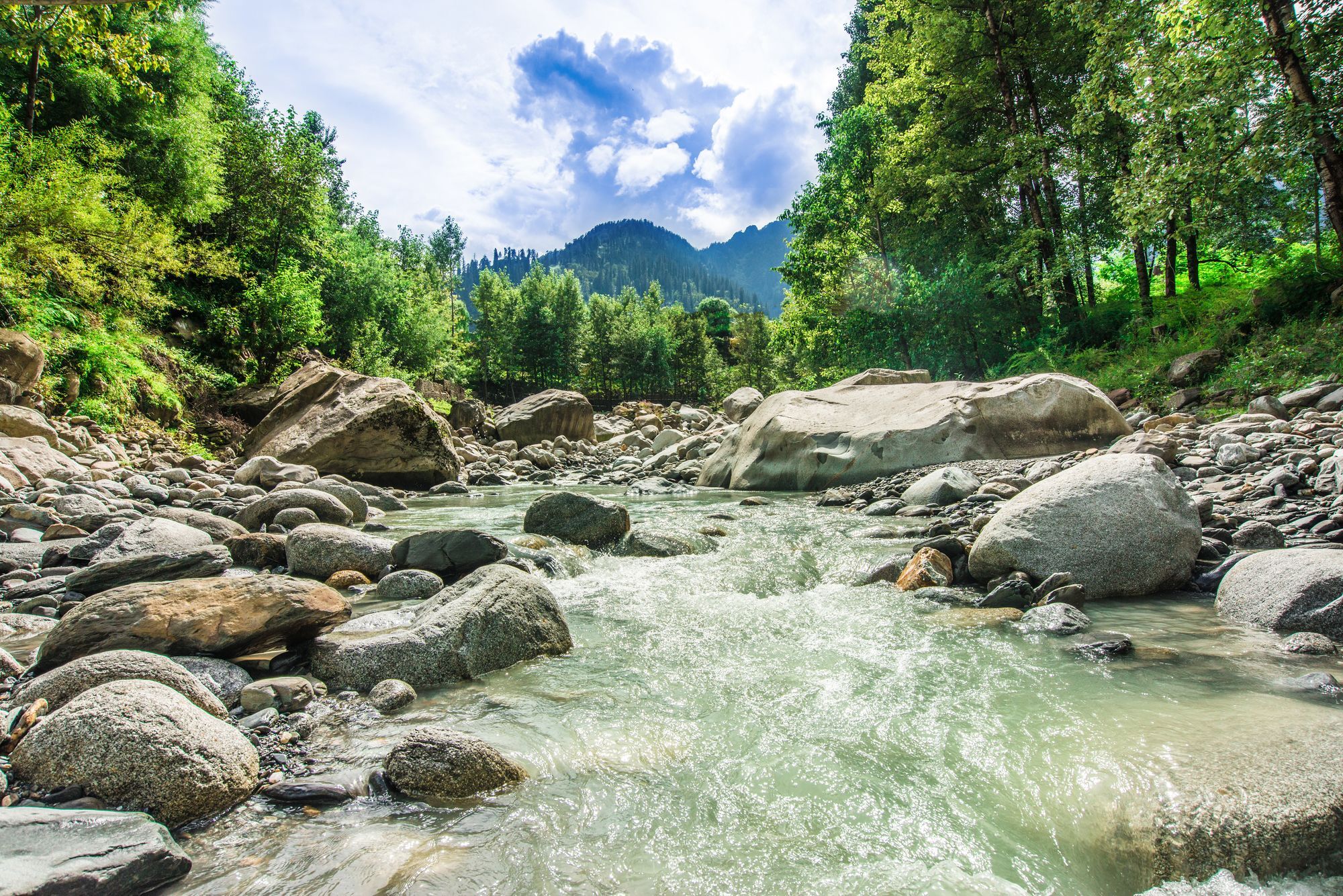 Solang Valley Resort Palchan Экстерьер фото