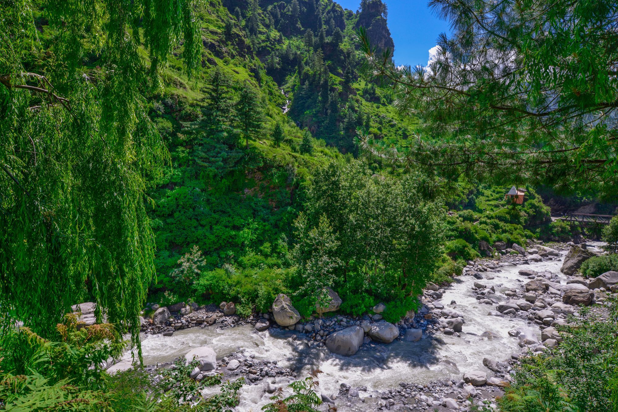 Solang Valley Resort Palchan Экстерьер фото